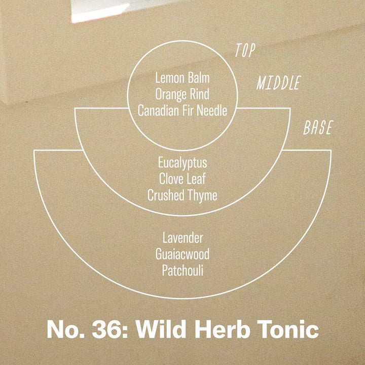 Wild Herb Tonic - 7.2 oz Soy Candle