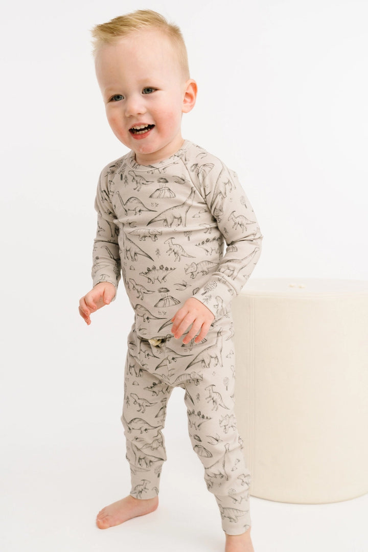 Dinosaur Doodles Set