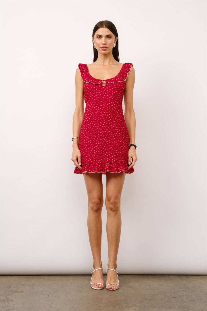 Samantha Mini Dress