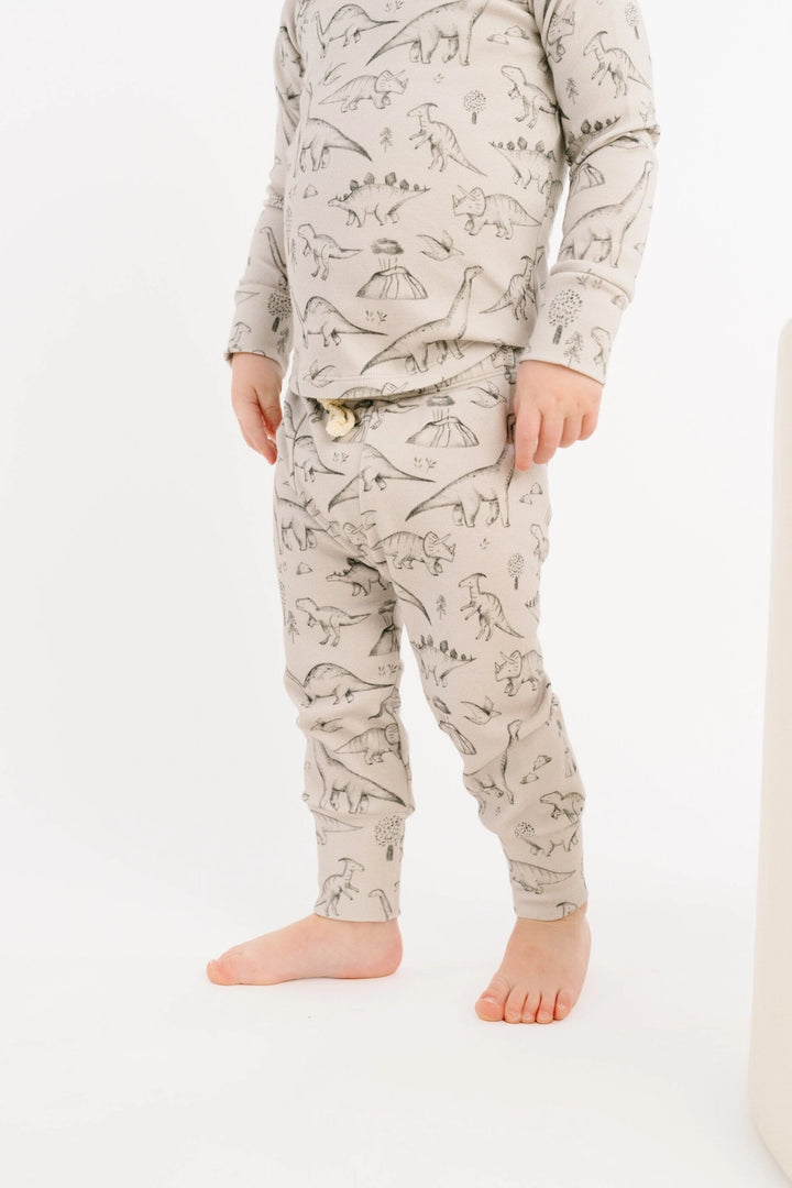 Dinosaur Doodles Set