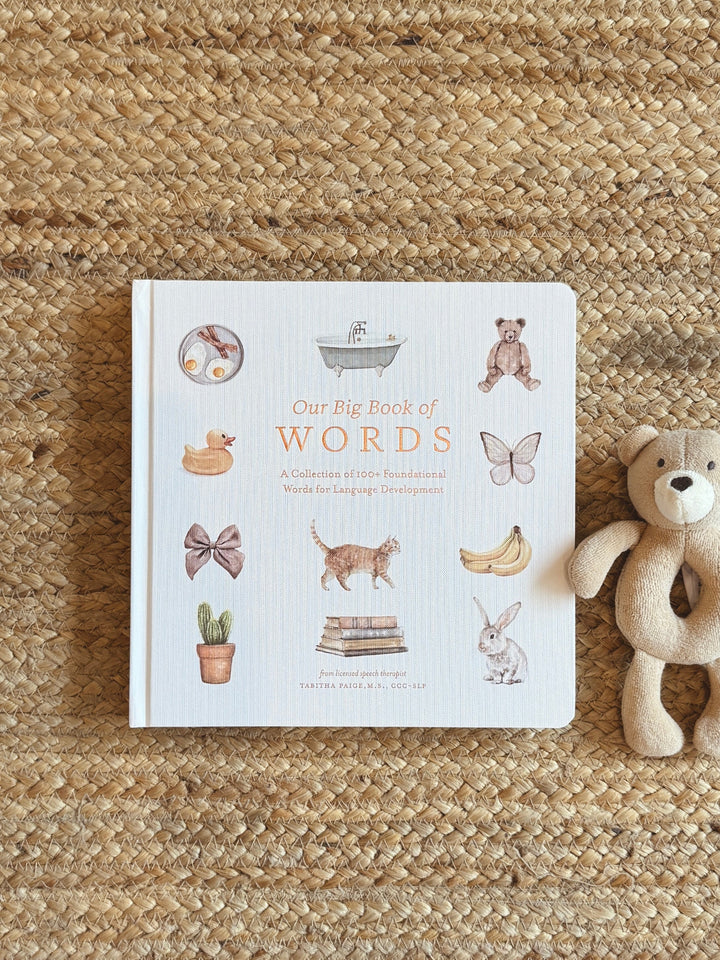 Children's book titled 'Our Big Book of Words' on a textured surface with a teddy bear.