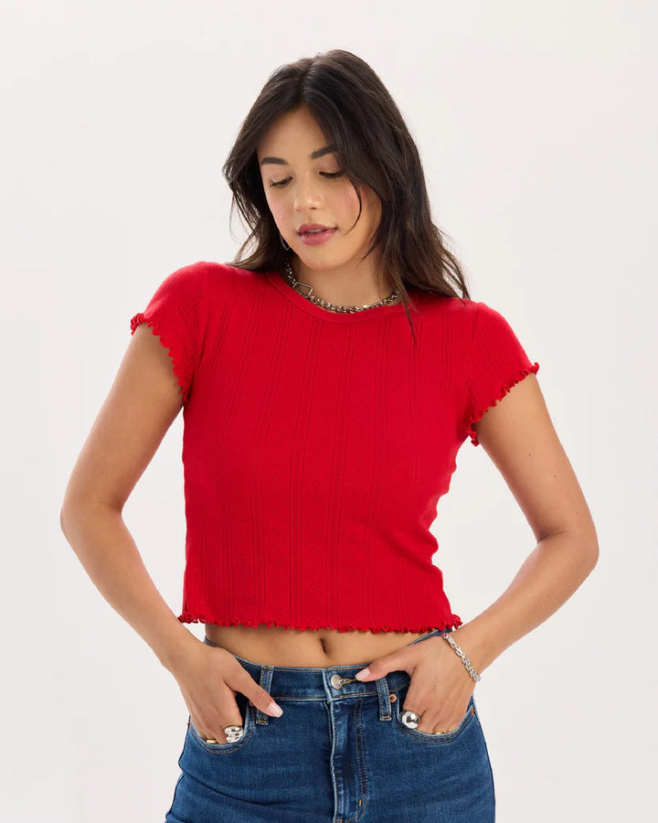Lily Pointelle Baby Tee