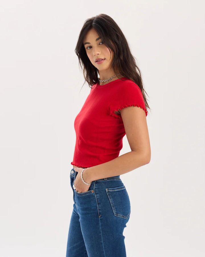 Lily Pointelle Baby Tee