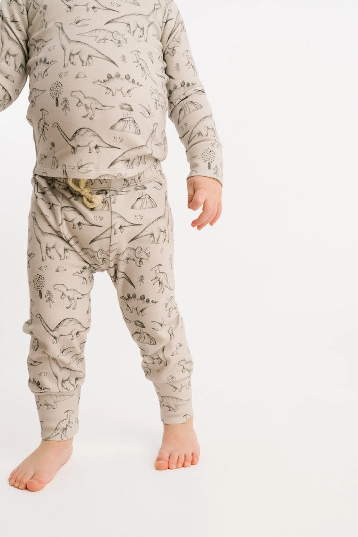 Dinosaur Doodles Set