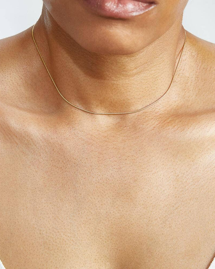 Skinny Snake Chain Necklace - Western Inspired Jewelry