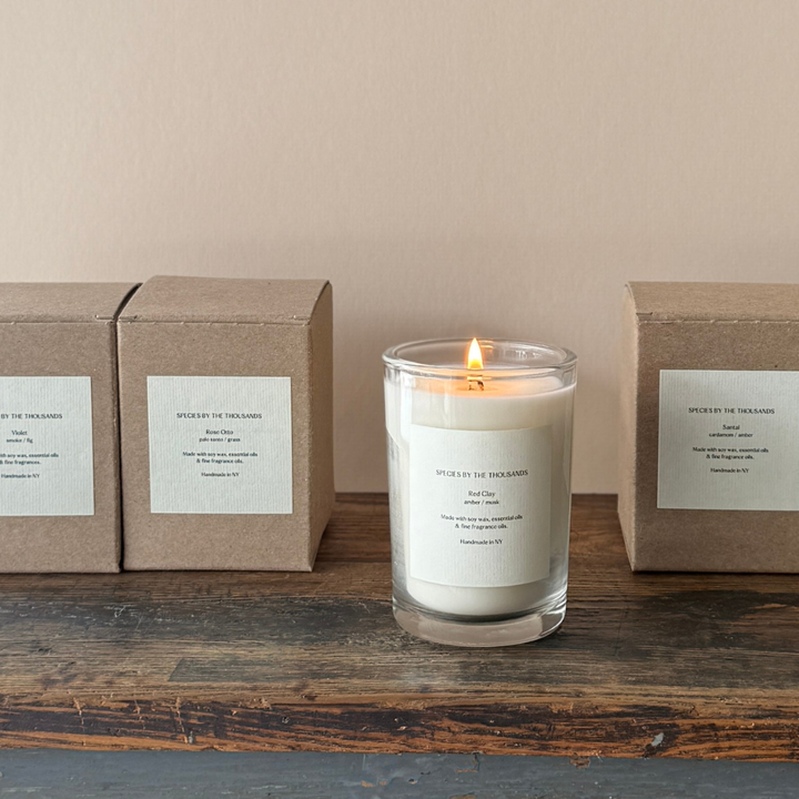 Red Clay, Amber + Musk Handcrafted Soy Candle