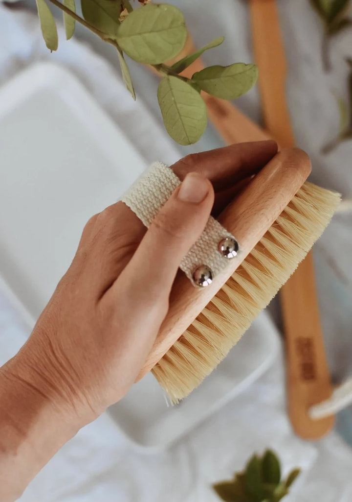 Beechwood Dry Brush