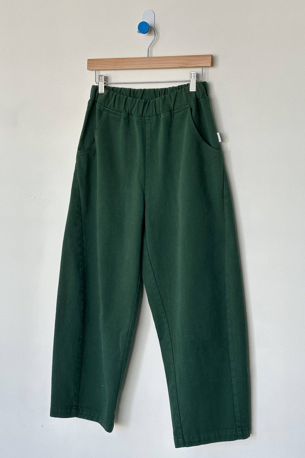 green cotton canvas pants hanging on a pant hanger against a white wall