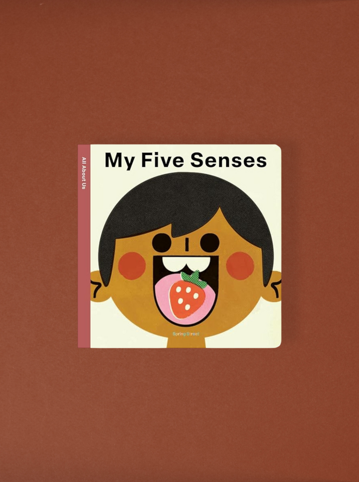 All About Us: My Five Senses